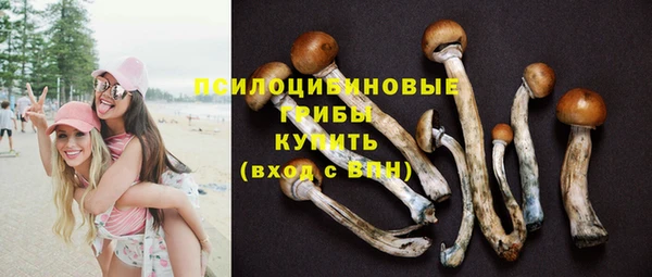 ECSTASY Армянск