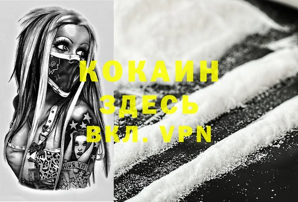 крисы Медвежьегорск